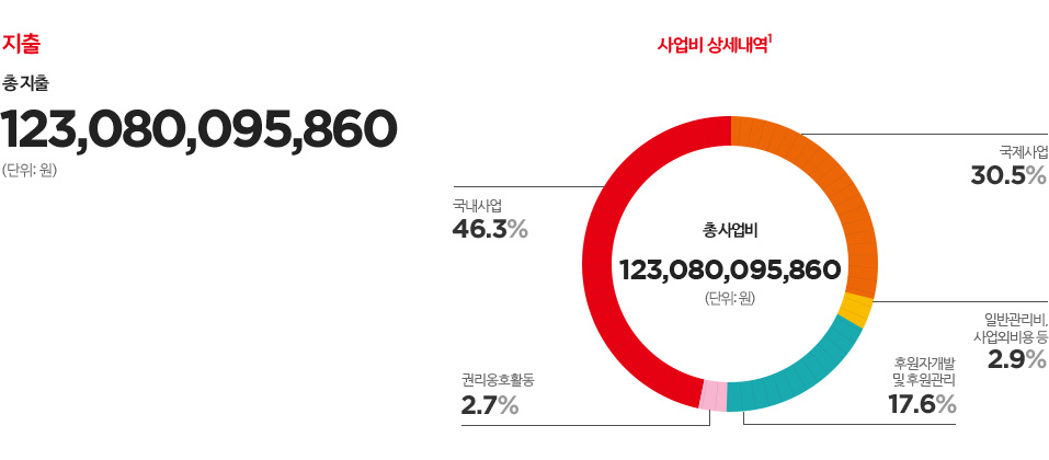지출 - 총 지출 : 123,080,095,860 (단위:원) / 사업비 상세내역 - 총 사업비 : 123,080,095,860 (단위:원), 국내사업 46.3%, 국제사업 30.5%, 일반관리비, 사업외비용 등 2.9%, 권리옹호활동 2.7%, 후원자개발 및 후원관리 17.6%