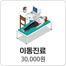 이동진료