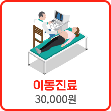 이동진료