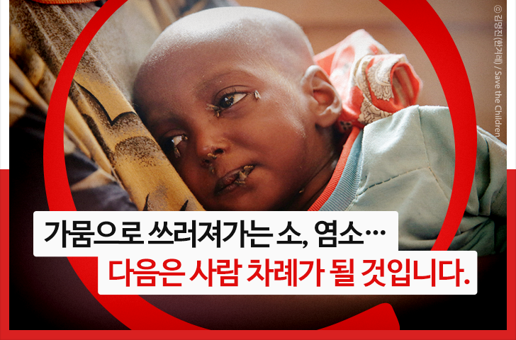 가뭄으로 쓰러져가는 소, 염소…
다음은 사람 차례가 될 것입니다.
 