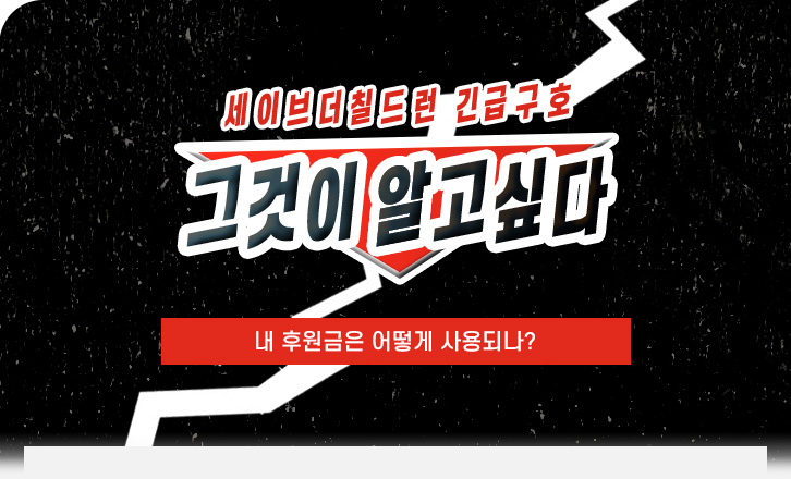 내 후원금은 어떻게 사용되나?