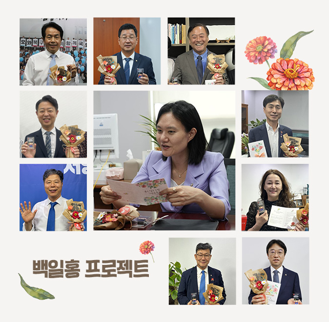 백일홍 프로젝트