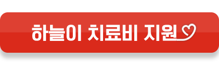 하늘이 치료비_레드