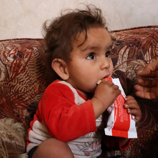 2025년 상반기 <국제 원조 삭감> 지원 결과보고