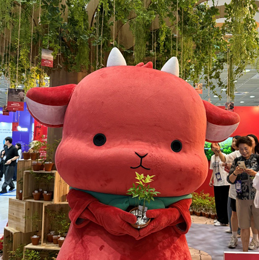 기후위기 속 아이를 지키는 빨간나무