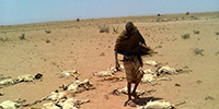 지구 온난화의 저주…메말라가는 에티오피아