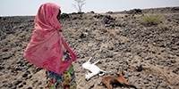 ﻿50년 만의 최악 가뭄 에티오피아…신생아 35만 명 직접 피해 우려