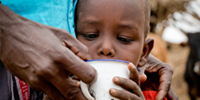 식량위기 1년, 에티오피아에서 온 감사편지