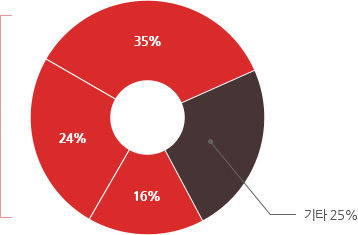 그래프 이미지(저체온증, 호흡곤란 등 조산 합병증 35%, 비전문적이고 비위생적인 분만 환경으로 인한 분만 중 합병증 24%, 감염으로 인한 패혈증, 뇌수막염 16%)