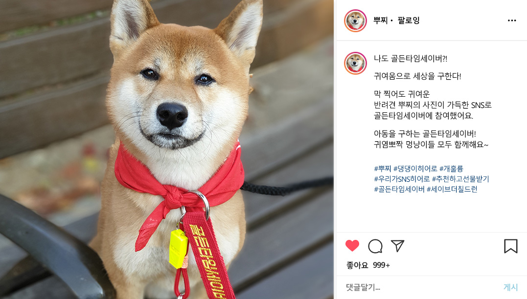 나도 골든타임세이버?! 귀여움으로 세상을 구한다! 막 찍어도 귀여운 반려견 뿌찌의 사진이 가득한 SNS로 골든타임세이버에 참여했어요. 아동을 구하는 골든타임세이버! 귀염뽀짝 멍냥이들 모두 함께해요~ #뿌찌 #댕댕이히어로 #개훌륭 #우리가SNS히어로 #추천하고선물받기 #골든타임세이버 #세이브더칠드런